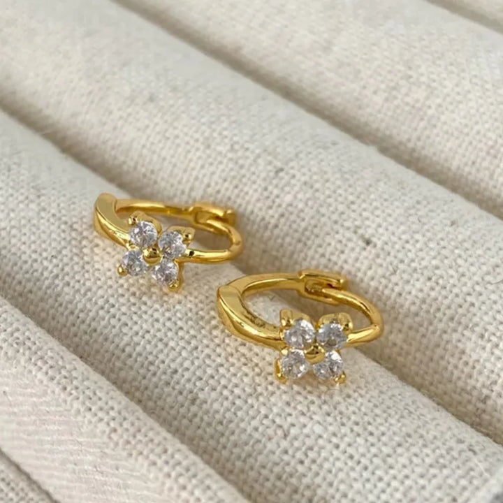 Set glänzendes Glück